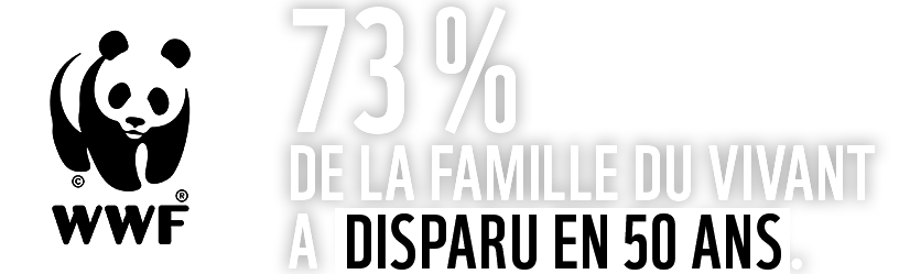 page d'accueil de WWF France